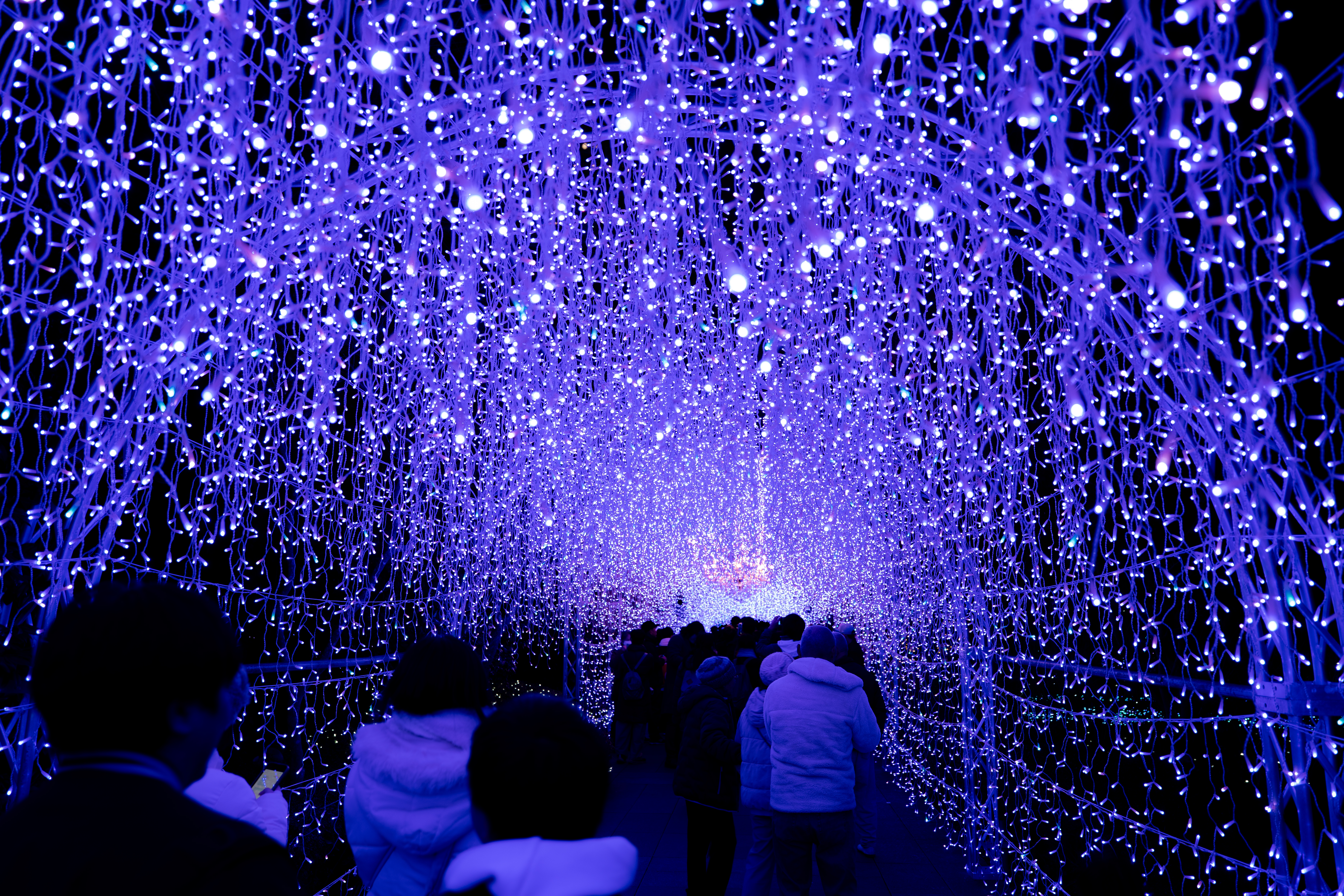 ピカピカの大三元を担いでピカピカの江の島を撮りに行った話【カメラ旅レポ】